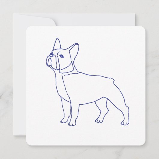 Französische Bulldogge (Voorkant)
