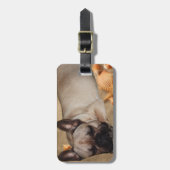 Französische Bulldogge am Meer im Urlaub Bagagelabel (Voorkant verticaal)