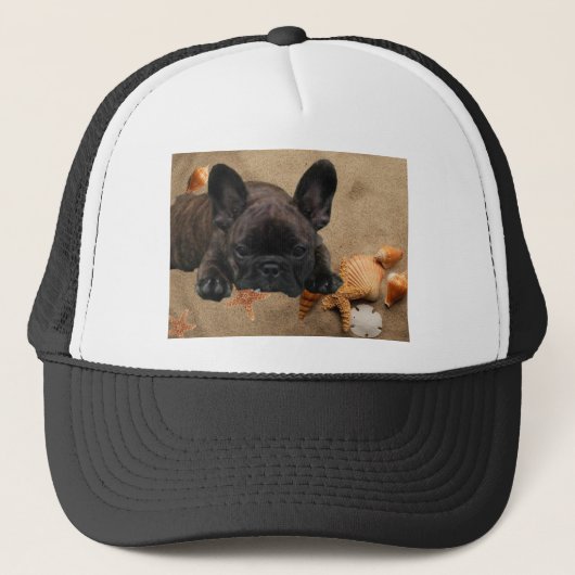 Französische Bulldogge am Strand French Bulldog  Trucker Pet (Voorkant)
