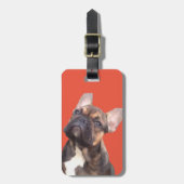 Französische Bulldogge Bagagelabel (Voorkant verticaal)
