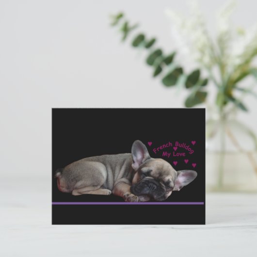 Französische Bulldogge  Briefkaart (Staand voorkant)