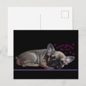 Französische Bulldogge  Briefkaart (Voorkant / Achterkant)