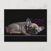 Französische Bulldogge  Briefkaart (Voorkant)