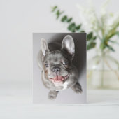 Französische Bulldogge Briefkaart (Staand voorkant)