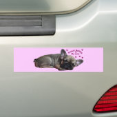 Französische Bulldogge Bumpersticker (Op auto)