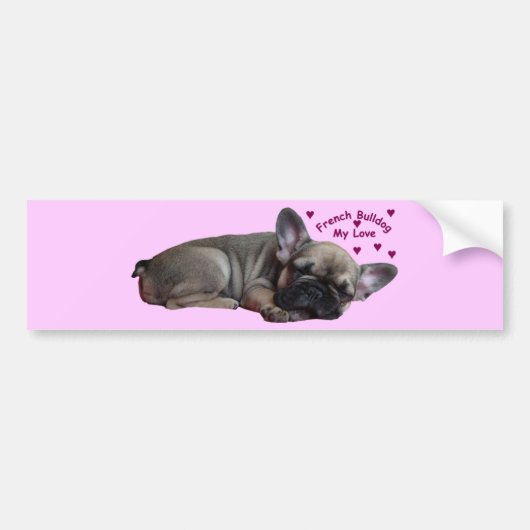 Französische Bulldogge Bumpersticker (Voorkant)