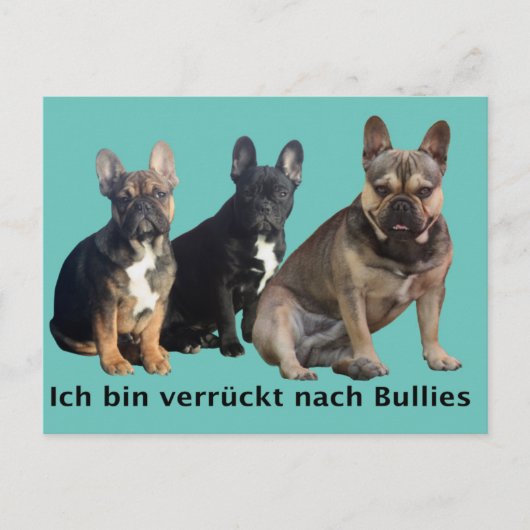 Französische Bulldogge drei Freunde French Bulldog Briefkaart (Voorkant)