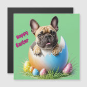 Französische Bulldogge Ei Ostern French Bulldog (Voorkant / Achterkant)