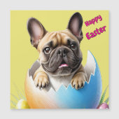 Französische Bulldogge Ei Ostern French Bulldog (Voorkant)