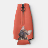 Französische Bulldogge  Flesjeskoeler (Achterkant)