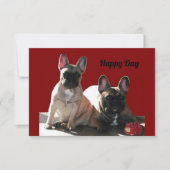 Französische Bulldogge Geburtstag French Bulldog Kaart (Voorkant)