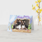 Französische Bulldogge Geburtstag French Bulldog Kaart (Gele Bloem)