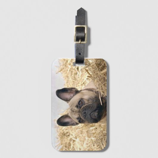 Französische Bulldogge Gepäckanhänger Bagagelabel (Voorkant (verticaal))