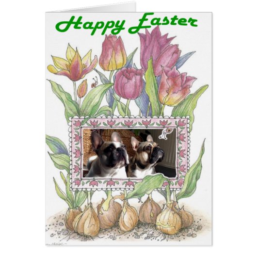 Französische Bulldogge Grußkarte Ostern (Voorkant)