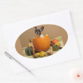 Französische Bulldogge Halloween French Bulldog Ovale Sticker (Envelop)