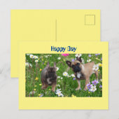 Französische Bulldogge Happy Day French Bulldog Briefkaart (Voorkant / Achterkant)