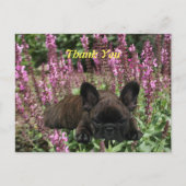 Französische Bulldogge Herz French Bulldog Briefkaart (Voorkant)