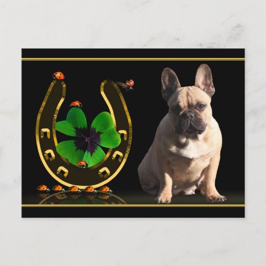 Französische Bulldogge Hufeisen French Bulldog Briefkaart (Voorkant)