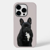 Französische Bulldogge iPhone 14 Pro Case Mate (Achterkant)