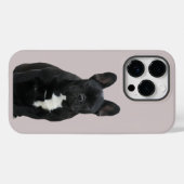 Französische Bulldogge iPhone 14 Pro Case Mate (Achterkant (horizontaal))