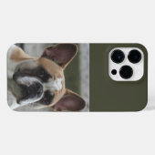 Französische Bulldogge  iPhone Hoesje (Achterkant horizontaal)