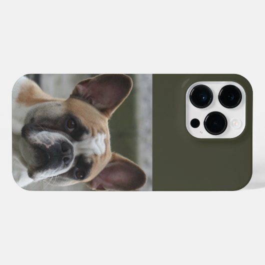 Französische Bulldogge  iPhone Hoesje (Achterkant horizontaal)