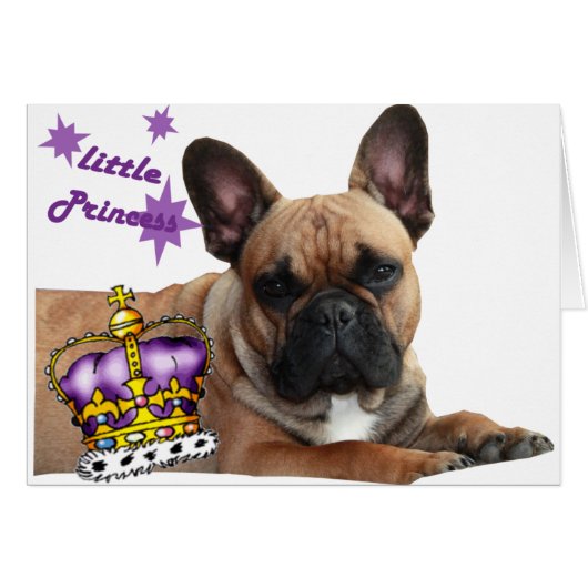 Französische Bulldogge Karte (Voorkant Horizontaal)