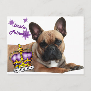 Französische Bulldogge Karte Briefkaart