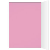 Französische Bulldogge Lichterkette Weihnachten (Binnen (Links))