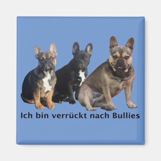 Französische Bulldogge Magneet (Voorkant)
