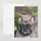 Französische Bulldogge mit Biene French Bulldog Briefkaart (Voorkant / Achterkant)