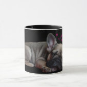 Französische Bulldogge   Mok (Midden)