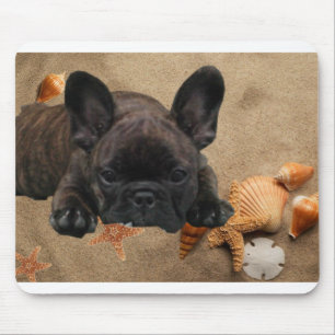 Französische Bulldogge Muismat
