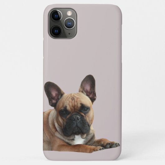 Französische Bulldogge Niedlich French Bulldog Case-Mate iPhone Case (Achterkant)
