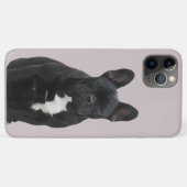 Französische Bulldogge Niedlich French Bulldog Case-Mate iPhone Case (Achterkant (horizontaal))