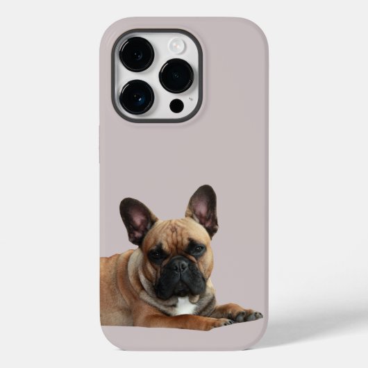 Französische Bulldogge Niedlich French Bulldog Case-Mate iPhone Case (Achterkant)