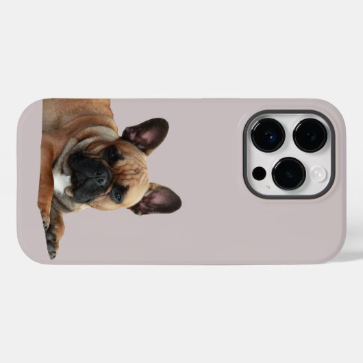 Französische Bulldogge Niedlich French Bulldog Case-Mate iPhone Case (Achterkant (horizontaal))