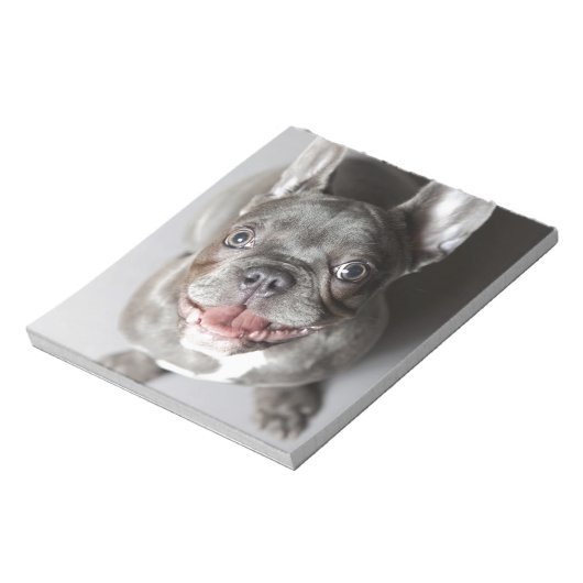 Französische Bulldogge Notitieblok (Linkerzijde)