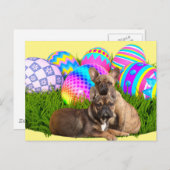 Französische Bulldogge Osterkarte Briefkaart (Voorkant / Achterkant)