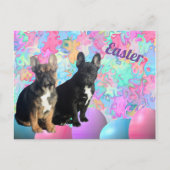 französische Bulldogge Ostern French Bulldog Briefkaart (Voorkant)