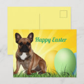 französische Bulldogge Ostern French Bulldog  Briefkaart (Voorkant / Achterkant)