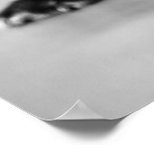 Französische Bulldogge Poster (Hoek)