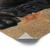 Französische Bulldogge Poster (Hoek)