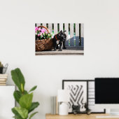 Französische Bulldogge Poster (Thuiskantoor)