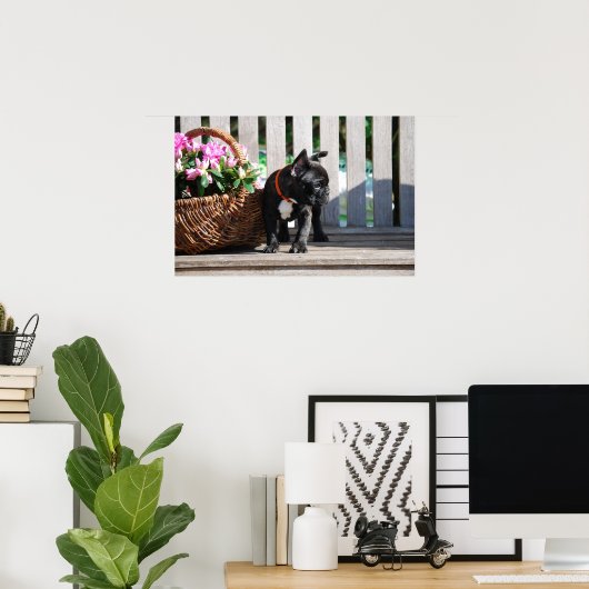 Französische Bulldogge Poster (Thuiskantoor)