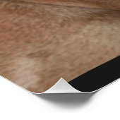 Französische Bulldogge Poster (Hoek)