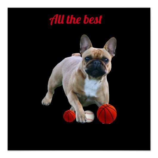 Französische Bulldogge Poster (Voorkant)