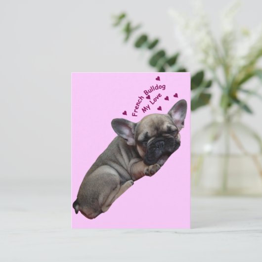 Französische Bulldogge Postkarte Briefkaart (Staand voorkant)