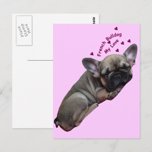 Französische Bulldogge Postkarte Briefkaart (Voorkant / Achterkant)