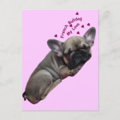 Französische Bulldogge Postkarte Briefkaart (Voorkant)
